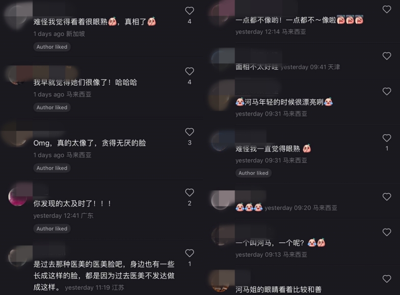 S妈、Rosmah撞脸