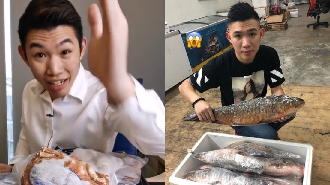 虾王唱歌拍MV！宣布退出直播界… 双十一卖旅游配套是被陷害！ 娱乐资讯 图2张