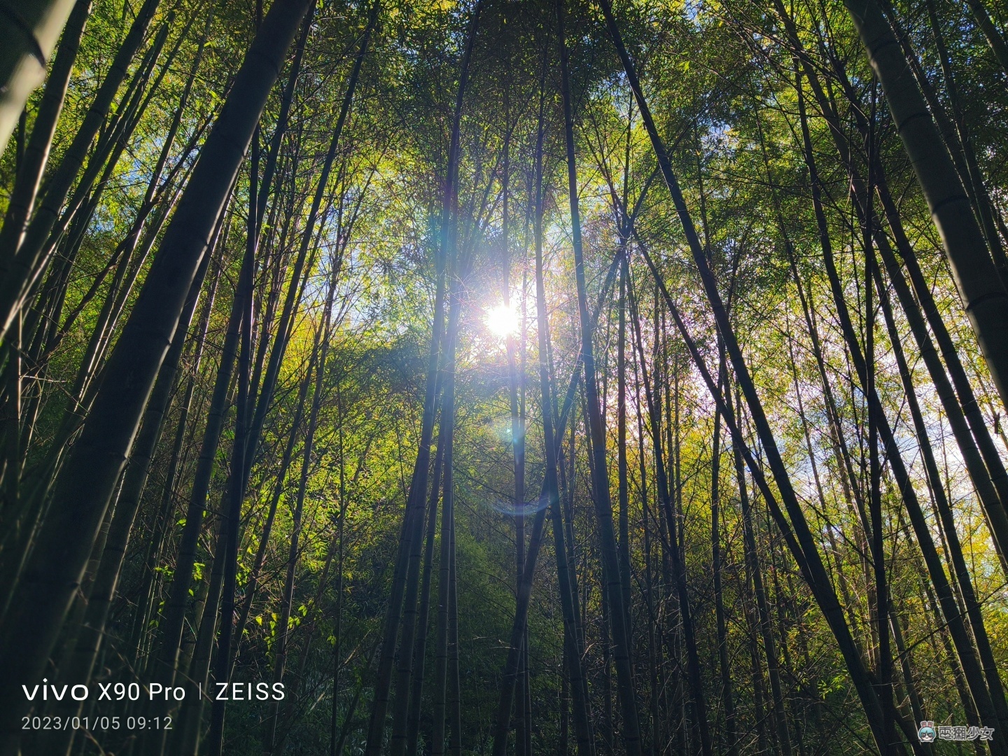 出门实拍|vivo X90 Pro 登场!阿里山的星空云海美景全记录 内容图20 潮品文-大潮社旗下实时最新热点娱乐时尚数码等新闻资讯网站! 出门实拍|vivo X90 Pro 登场!阿里山的星空云海美景全记录