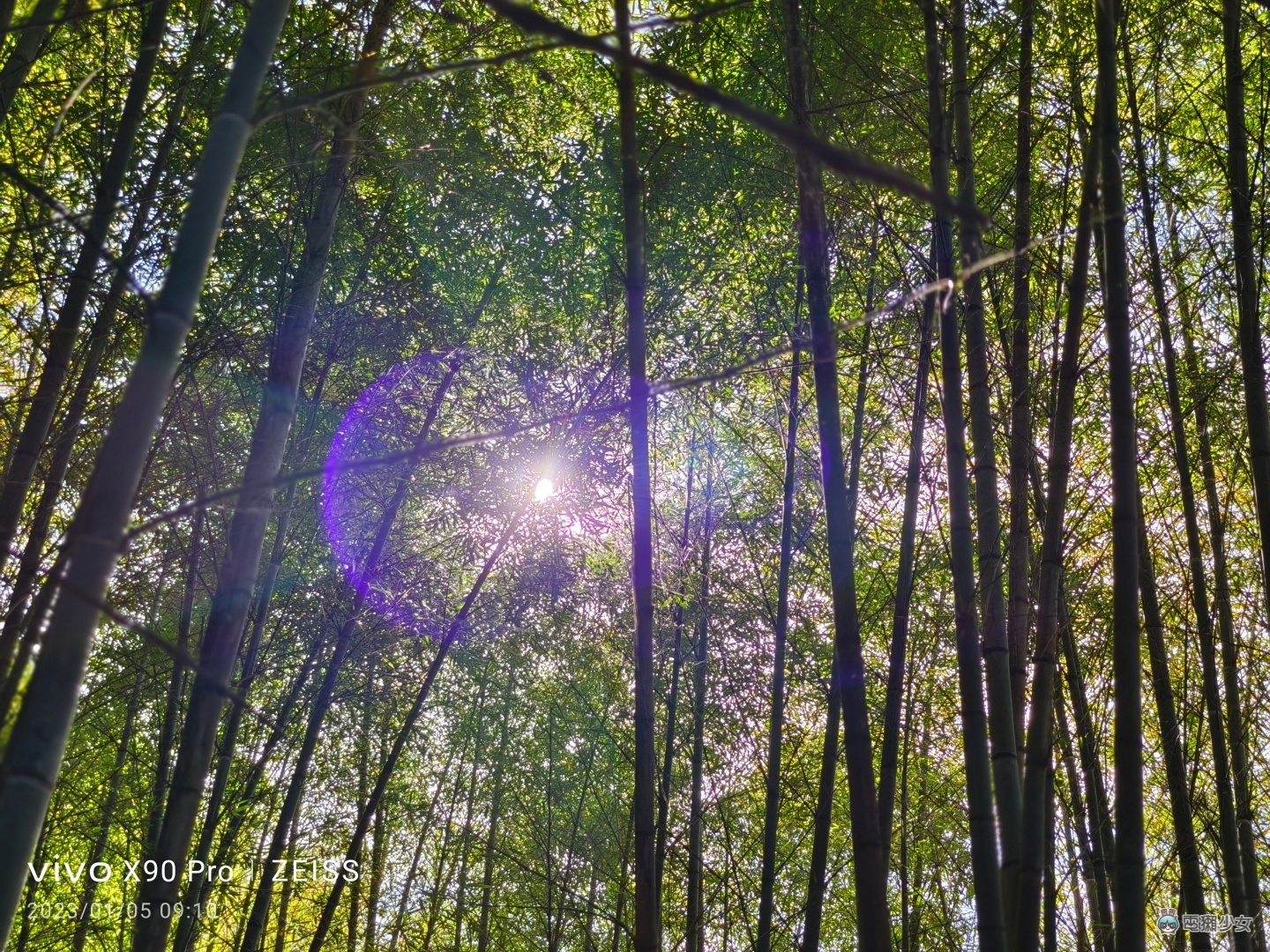 出门实拍|vivo X90 Pro 登场!阿里山的星空云海美景全记录 内容图21 潮品文-大潮社旗下实时最新热点娱乐时尚数码等新闻资讯网站! 出门实拍|vivo X90 Pro 登场!阿里山的星空云海美景全记录