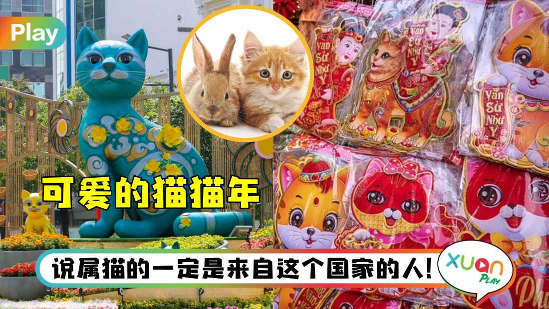 相关信息I 他们不过兔年？全球唯一“过猫年”的是这个地区？