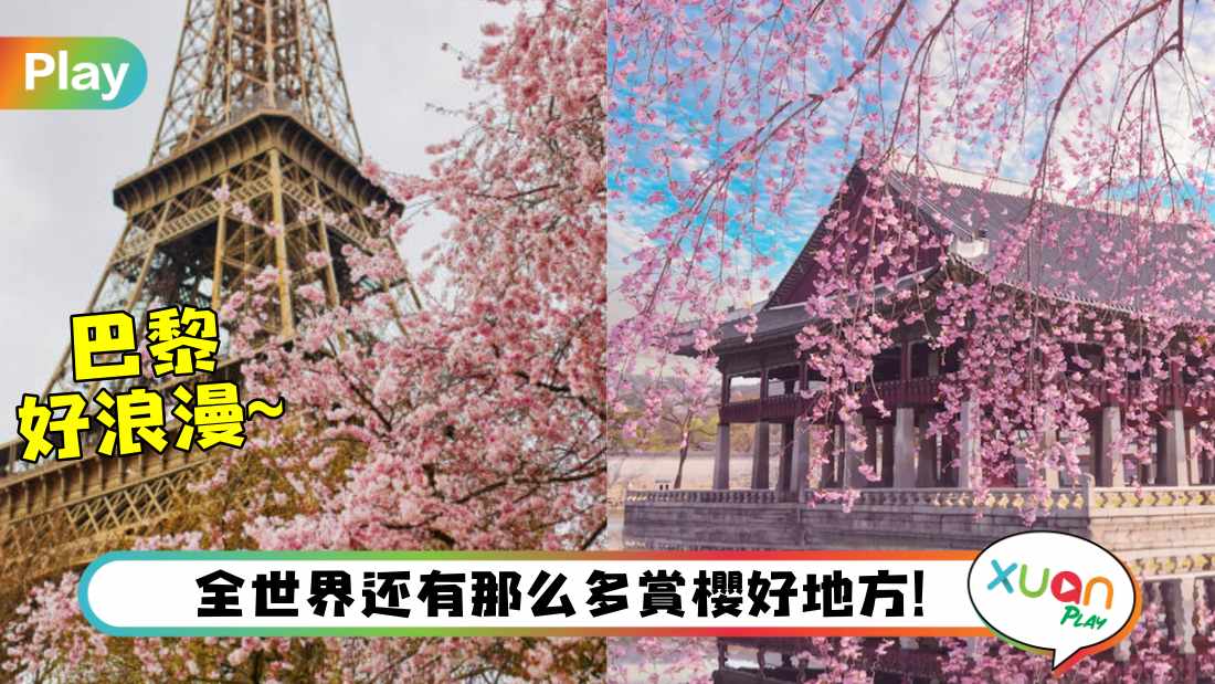 旅游I 原来泰国也能赏樱花？除了日本还能赏樱的7个地区！