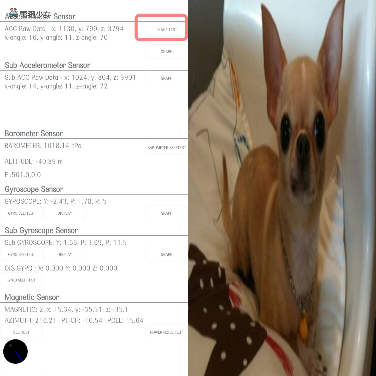解密三星：为什么三星手机里会有吉娃娃？那你知道每支三星手表里都有一只猫咪吗？