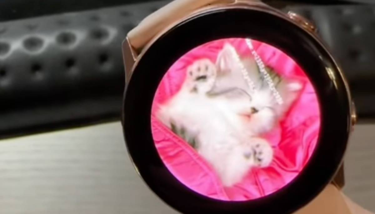 解密三星：为什么三星手机里会有吉娃娃？那你知道每支三星手表里都有一只猫咪吗？