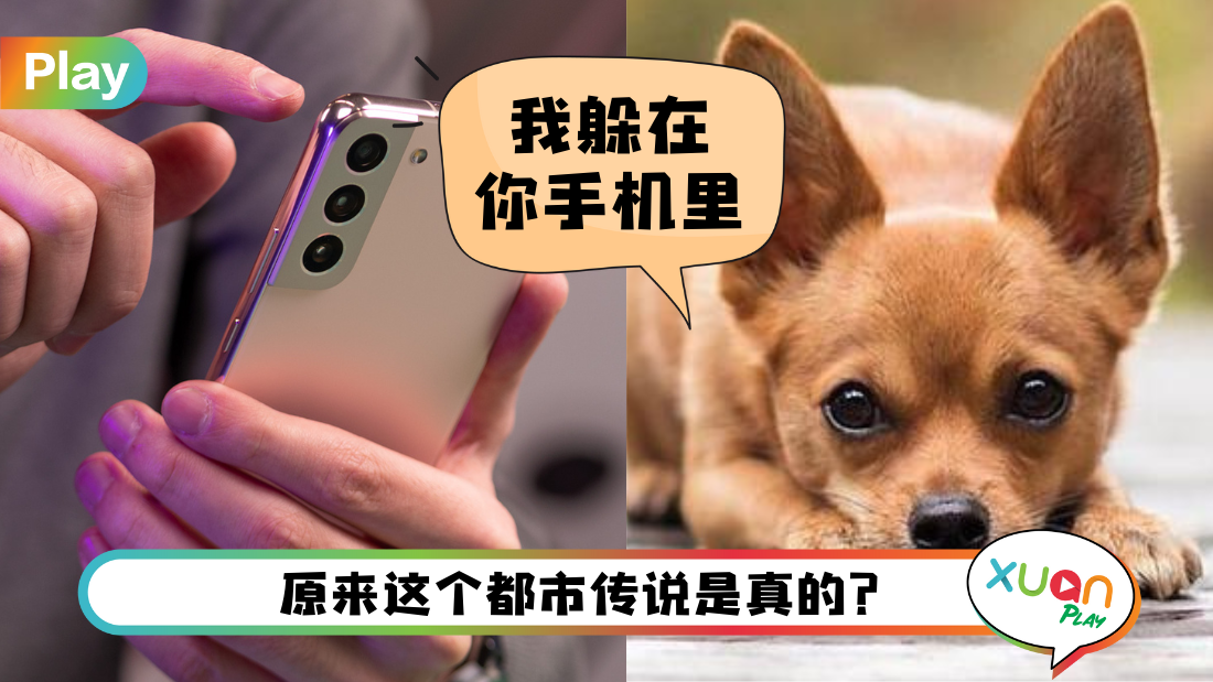 Tips I Samsung手机隐藏吉娃娃？教你3个步骤找出来 好可爱！