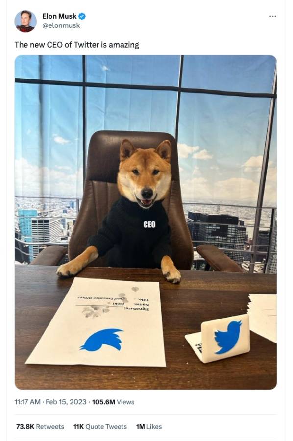 Twitter 新任 CEO 带动狗狗币上涨？马斯克推文连发：这家伙超级棒 雷厉风行数学又好！