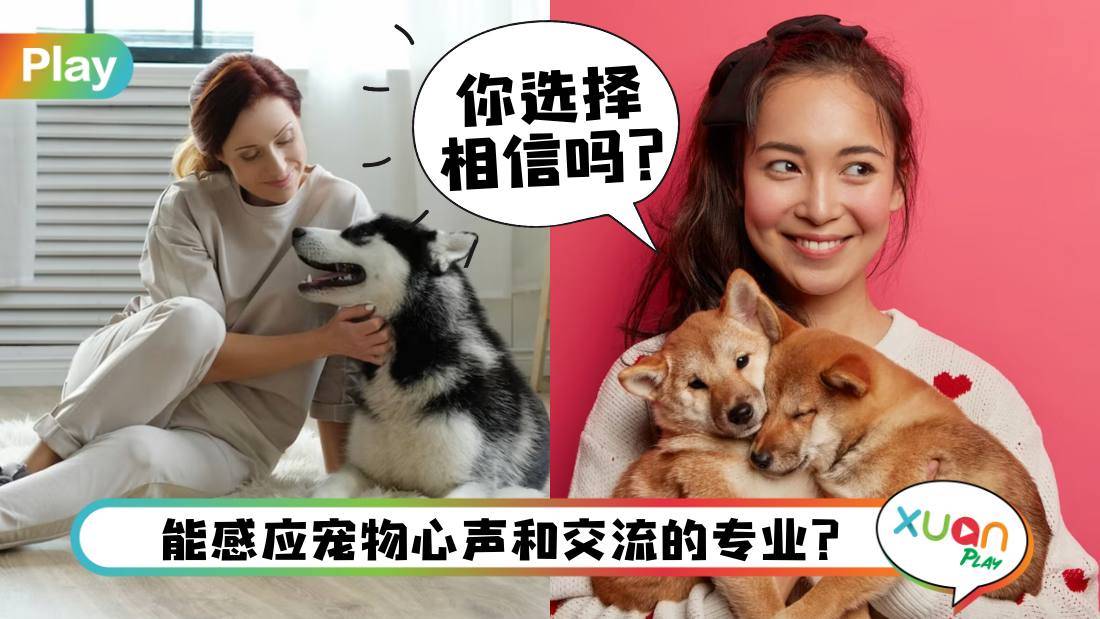 相关信息I 为主人和猫狗沟通?宠物沟通师到底是什么神秘职业?