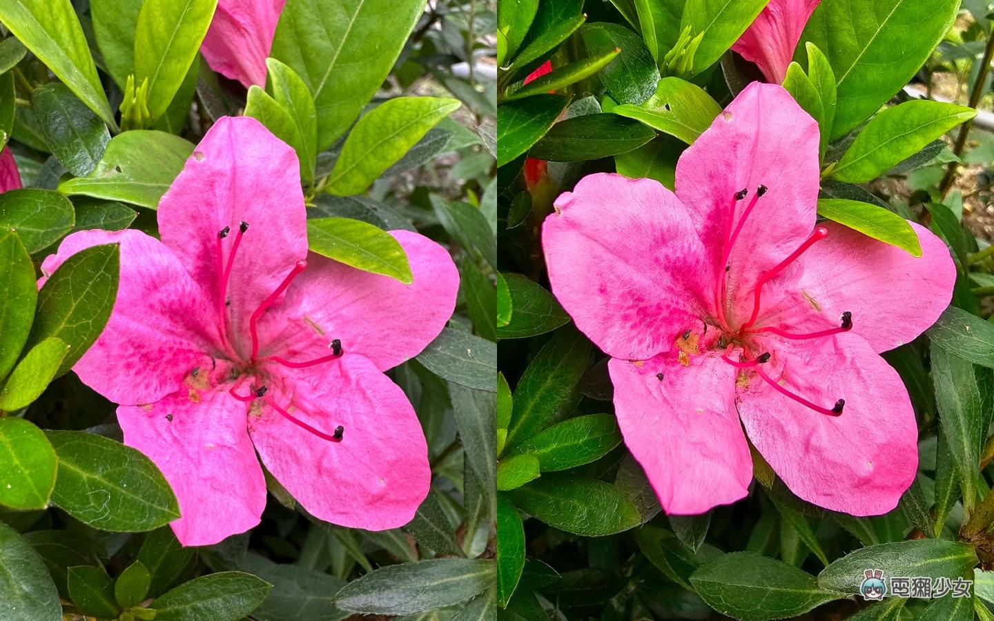 比较|旗舰级手机拍摄对决!三星 Galaxy S23 Ultra 跟 iPhone 14 Pro 谁更会拍?(内有多组实拍照) 内容图15 潮品文-大潮社旗下实时最新热点娱乐时尚数码等新闻资讯网站! 比较|旗舰级手机拍摄对决!三星 Galaxy S23 Ultra 跟 iPhone 14 Pro 谁更会拍?(内有多组实拍照)