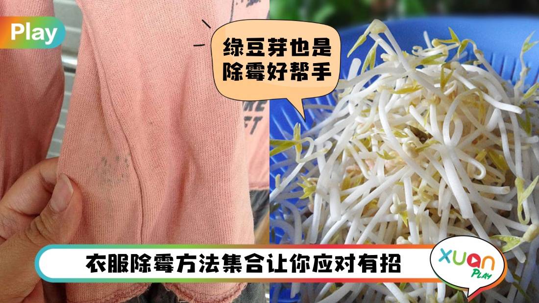 Tips I 马来西亚潮湿气候衣物霉点很无奈！5招处理方法最好用！