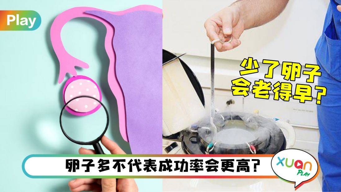 相关信息I 取卵数量多未必好?导致提早更年期?破除4个取卵迷思!