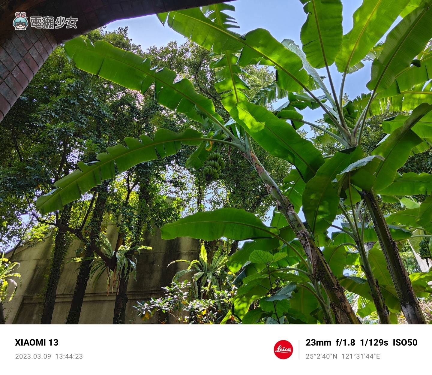 出门实拍｜小米 13 系列登场！随手就能拍出徕卡味 数码科技 图21张