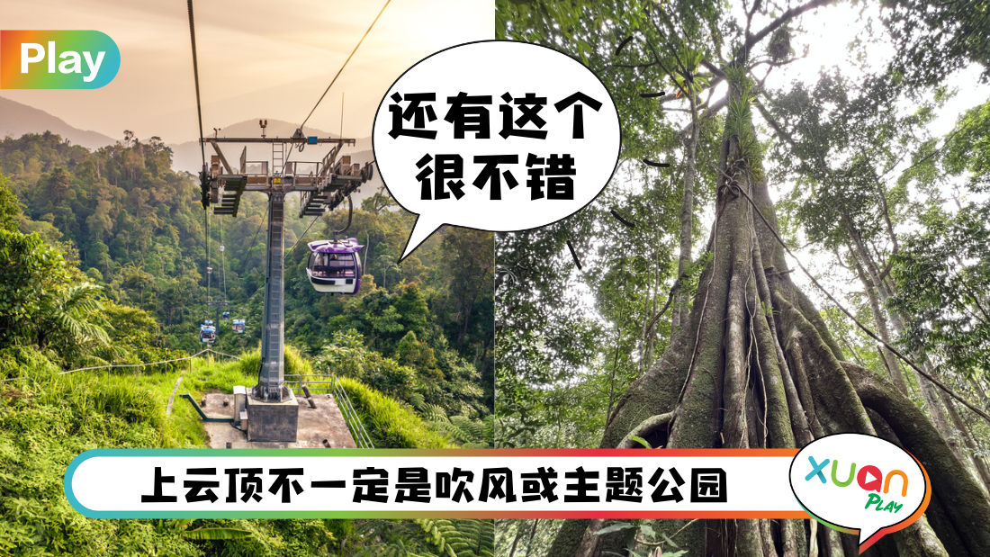 相关信息 I 2023年国际森林日！原来云顶也有好美的大自然森林！