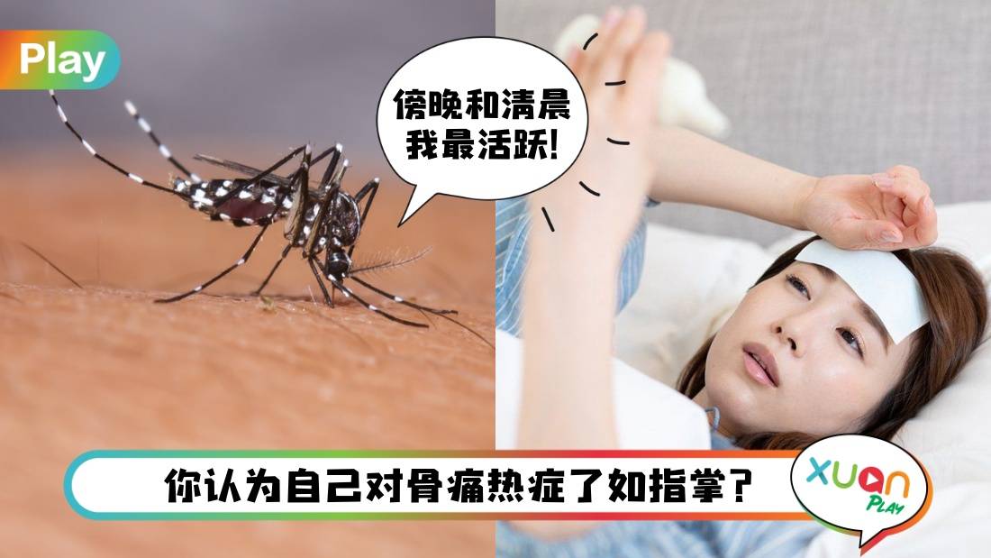 相关信息 I 骨痛热症5大常见迷思!一辈子只会感染一次?