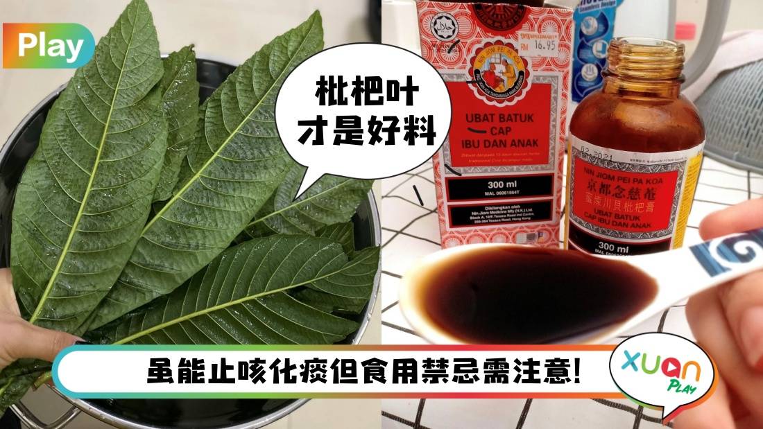 相关信息 I 化痰止咳的枇杷膏不是来自枇杷果肉？食用3好处3禁忌