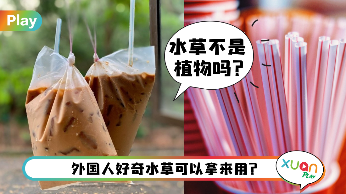 相关信息 I 为什么吸水管叫水草？原来是这个原因！