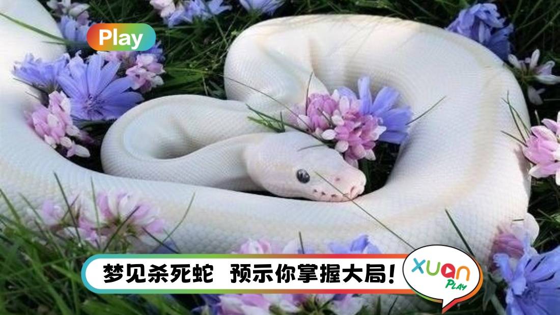 解梦俱乐部 | 梦见蛇:感到不安与危险、与命运进行斗争!