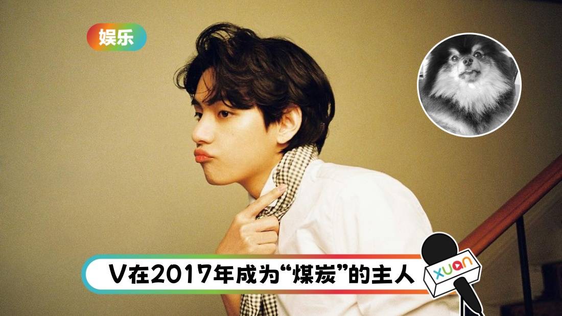 BTS V 爱犬离世!晒珍藏画面:煤炭去小狗星球旅游