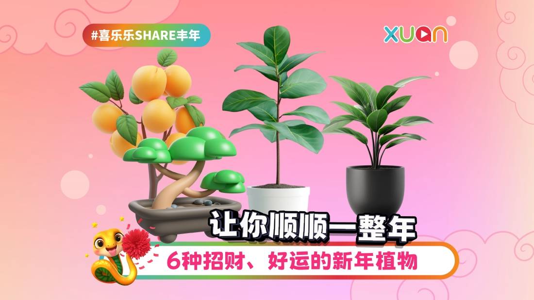 相关信息｜新年讨好彩头！6种招财、好运的新年植物 让你顺顺一整年