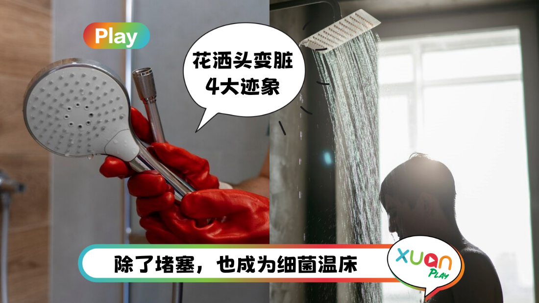 相关信息 | 花洒头每3个月就会积聚水垢！长期不洗比厕所水还要肮脏