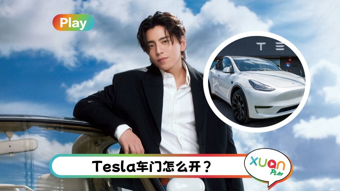 相关信息 | 王内地因不会开Tesla门捶窗！教你正确打开4款Tesla车门