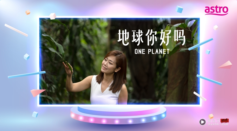 X站相关信息 | A站 2025年13 档电视剧、节目介绍 这里看！ 娱乐资讯 图7张