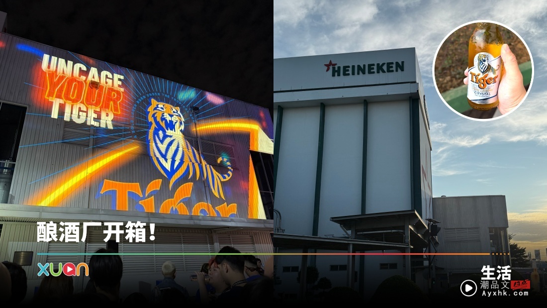 Tiger Beer 全新包装设计亮相！深入酿酒厂 一探究竟！