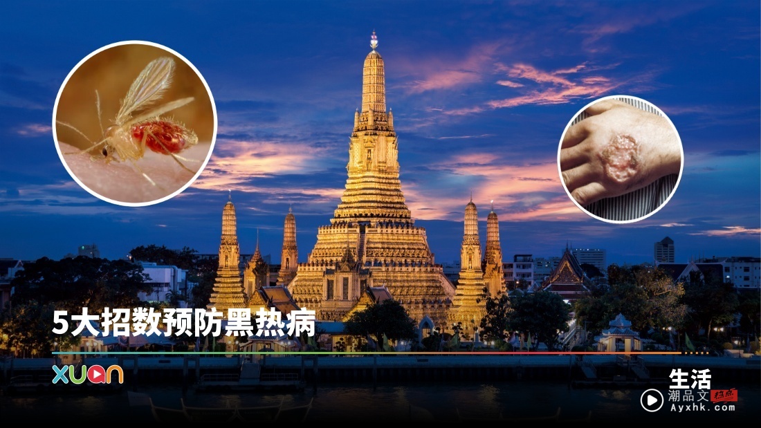 相关信息|泰国爆发黑热病 40宗感染、 2死亡病例!一文看懂感染症状!