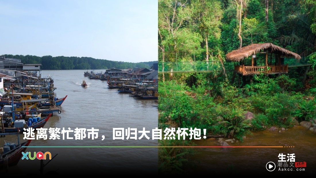 旅游|5个马来西亚大自然好去处!探索红树林、萤火虫、原住民文化!