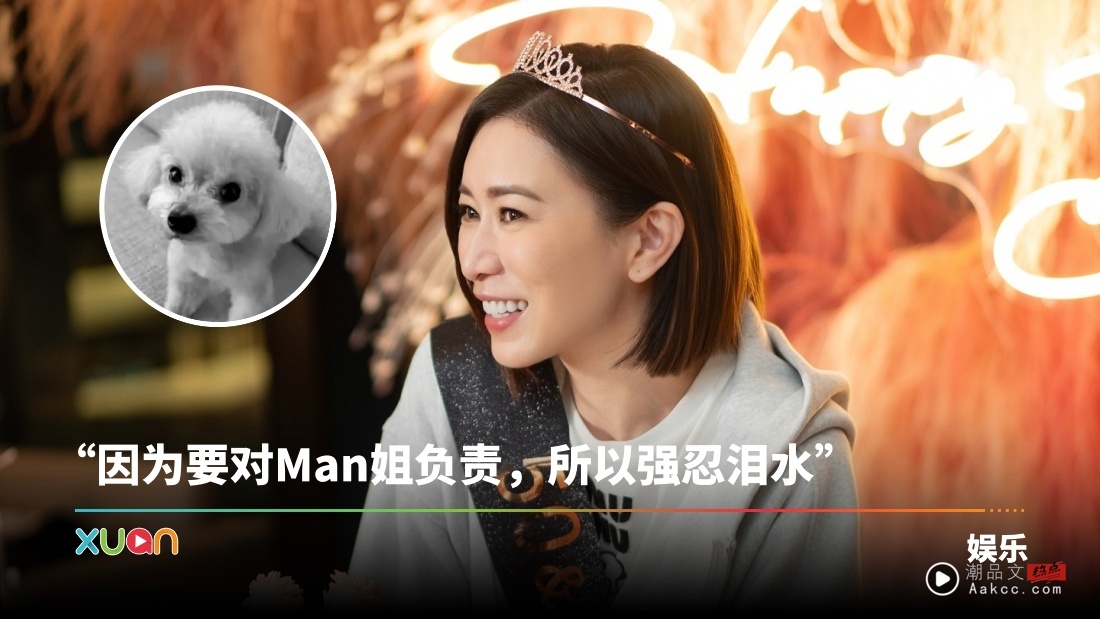 佘诗曼50岁生日前夕！陪伴13年爱犬突离世！