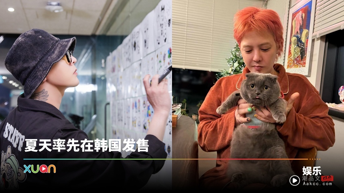 Labubu又有竞争对手了!GD爱猫ZOA出道 推出ZO&FRIENDS角色!
