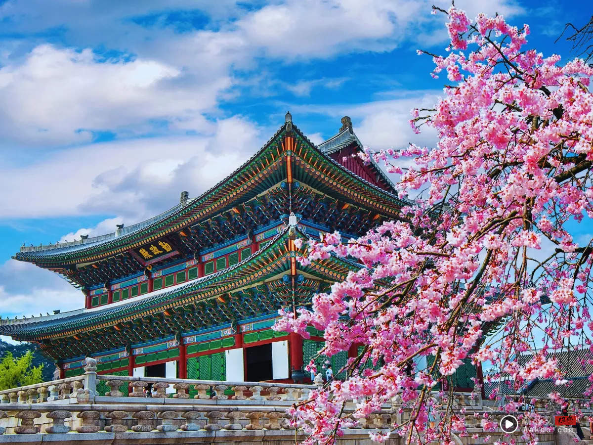 旅游｜10大亚洲回头客最高城市！吉隆坡、新山上榜  曼谷登冠军！ 更多热点 图4张
