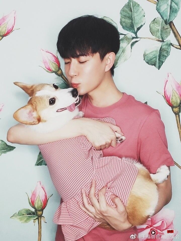 宋伊人出脚狂踹福丽！它见于朦胧遭狂殴“全身是血”互主狂吠遭打死 时尚资讯 图2张