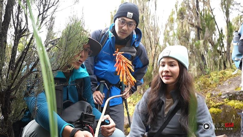 “人生干大事”推新作！《上山吧》实境秀横跨三大洲回台　网全赞爆