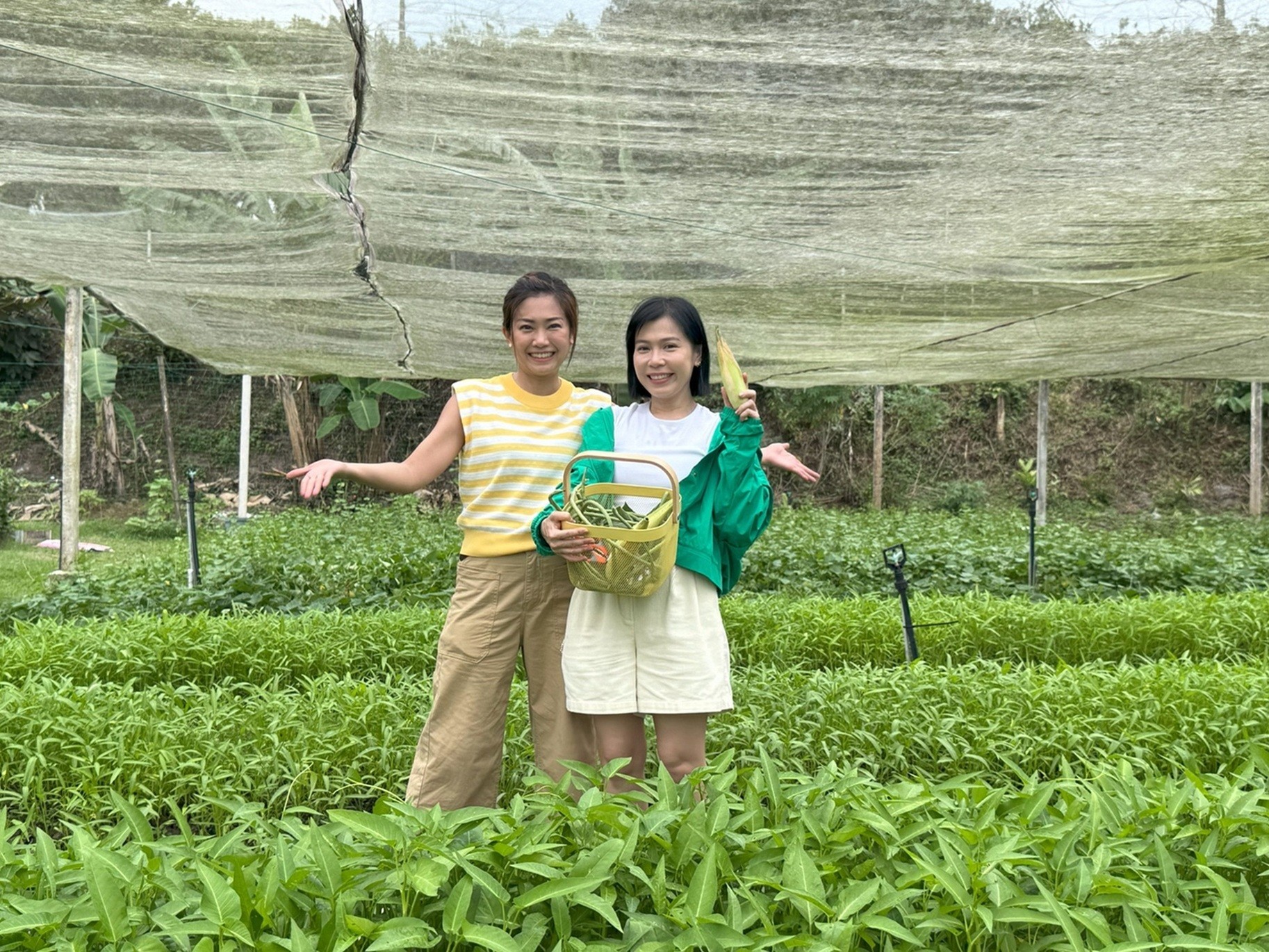 A站全新实境真人秀节目《地球你好吗》 梁宝仪与嘉宾踏上环保探索之旅! 内容图5 潮品文-大潮社旗下实时最新热点娱乐时尚数码等新闻资讯网站!