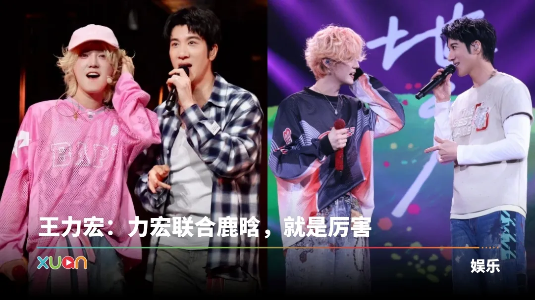 王力宏、鹿晗循环当彼此演唱会嘉宾！两人惊现一共同点
