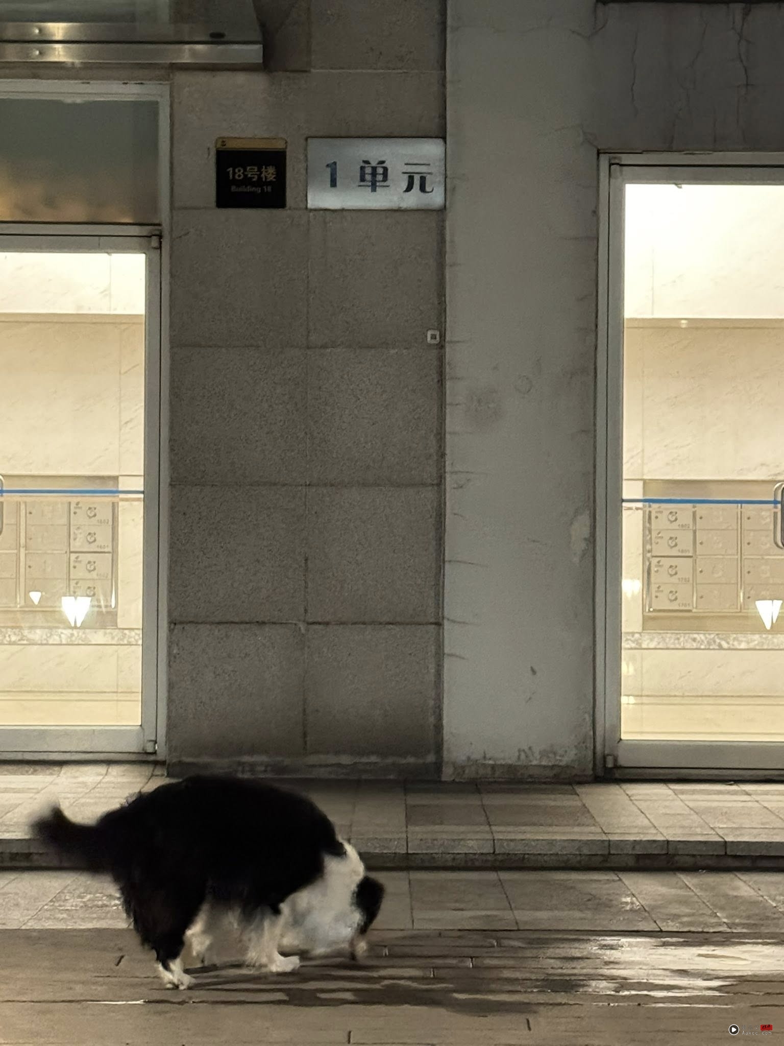 葛斯齐