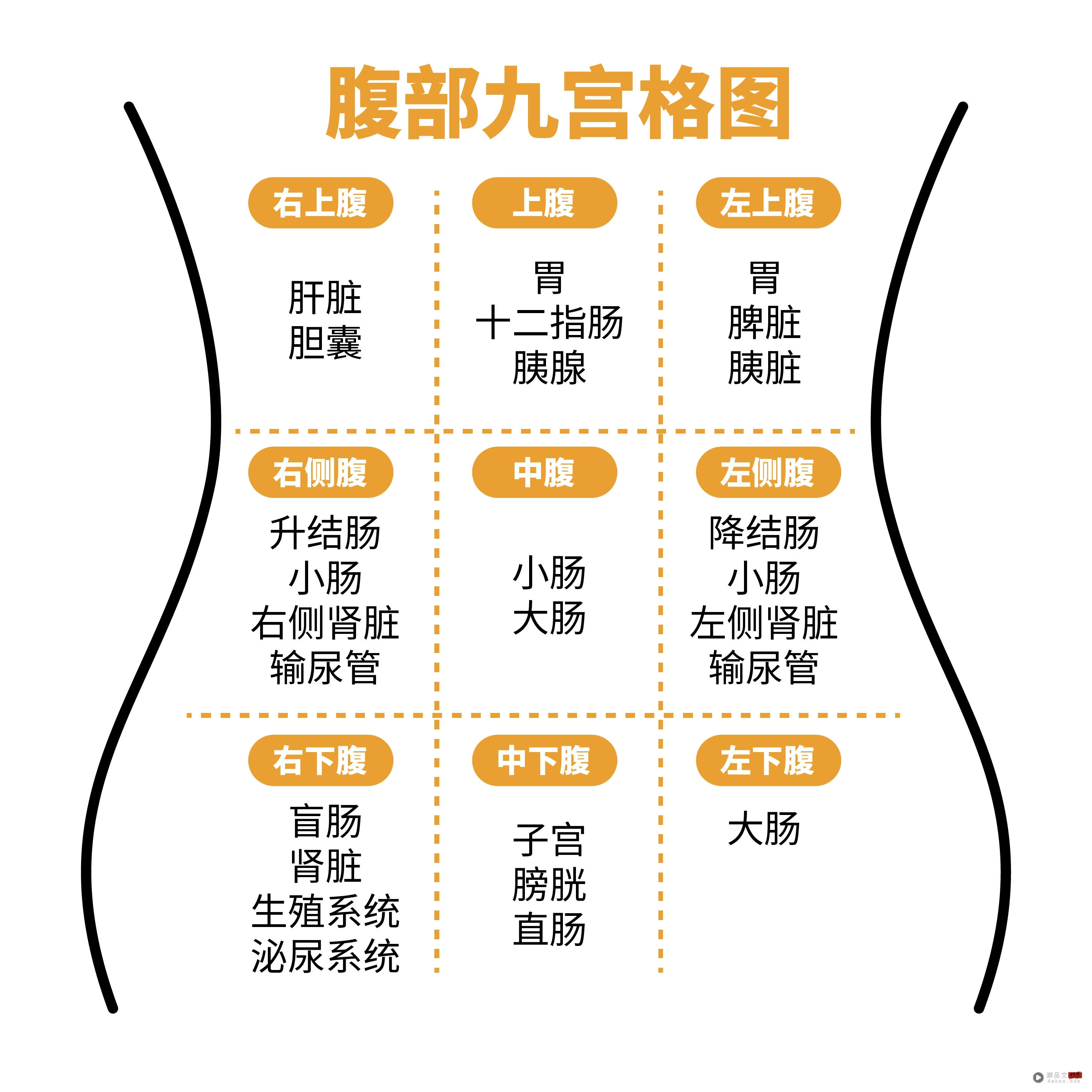 相关信息 | 别只会喊肚子痛!这张“腹部九宫格图”请收好 快速对症下药 内容图3 潮品文-大潮社旗下实时最新热点娱乐时尚数码等新闻资讯网站! 肚子痛