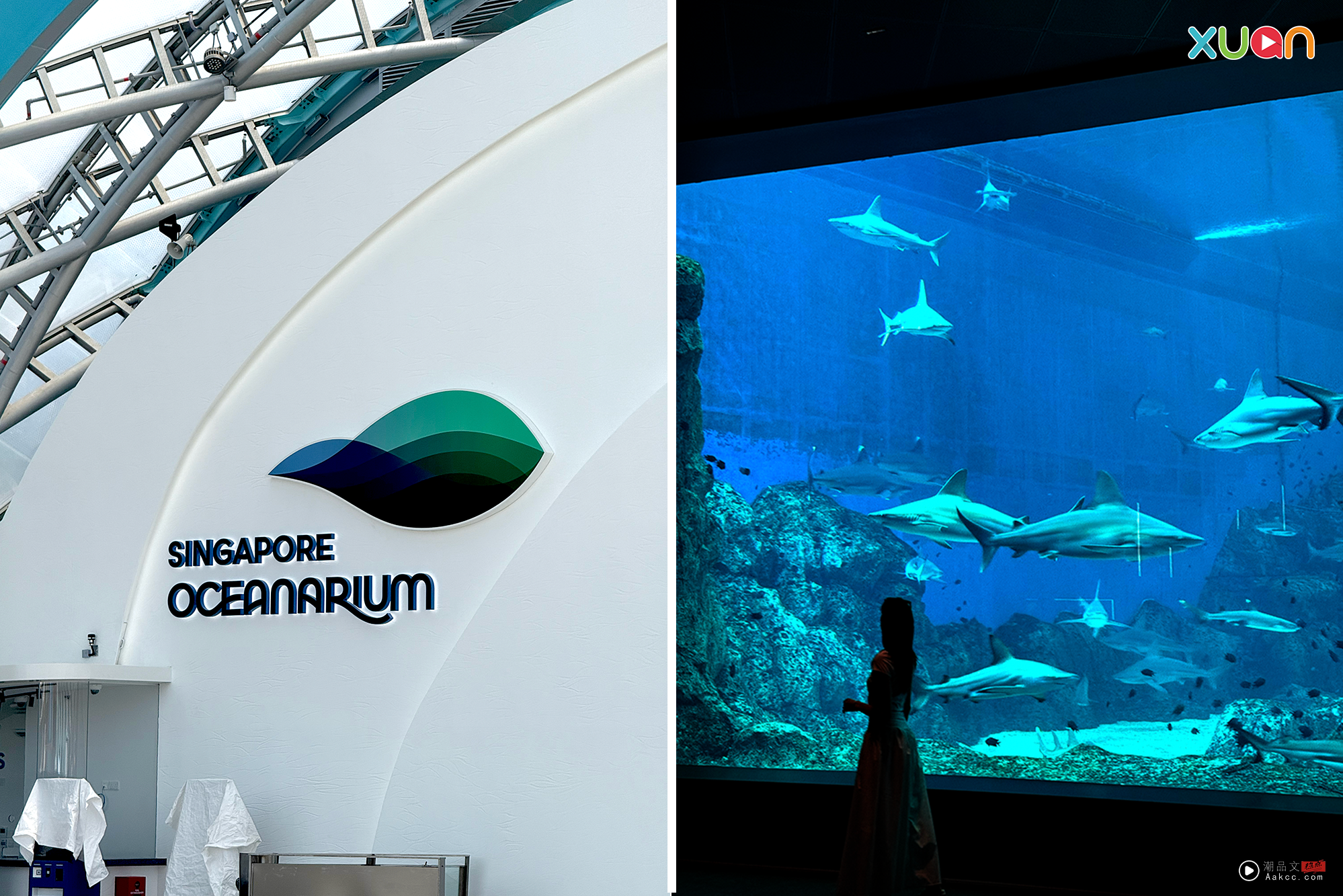 旅游|新加坡海洋生态馆 8大看点!设有22个主题展区 比旧馆大三倍! 内容图3 潮品文-大潮社旗下实时最新热点娱乐时尚数码等新闻资讯网站!