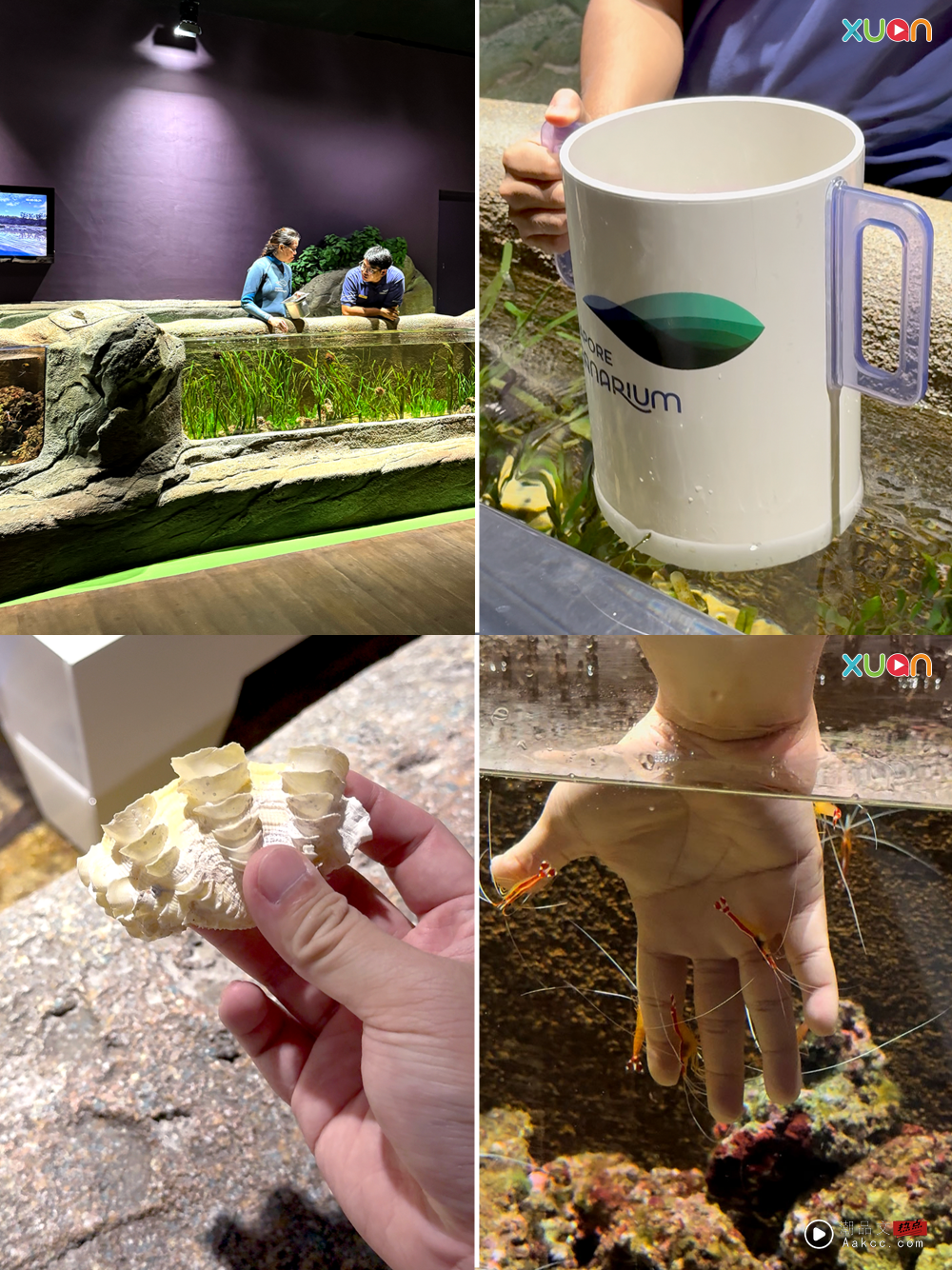 旅游|新加坡海洋生态馆 8大看点!设有22个主题展区 比旧馆大三倍! 内容图7 潮品文-大潮社旗下实时最新热点娱乐时尚数码等新闻资讯网站!