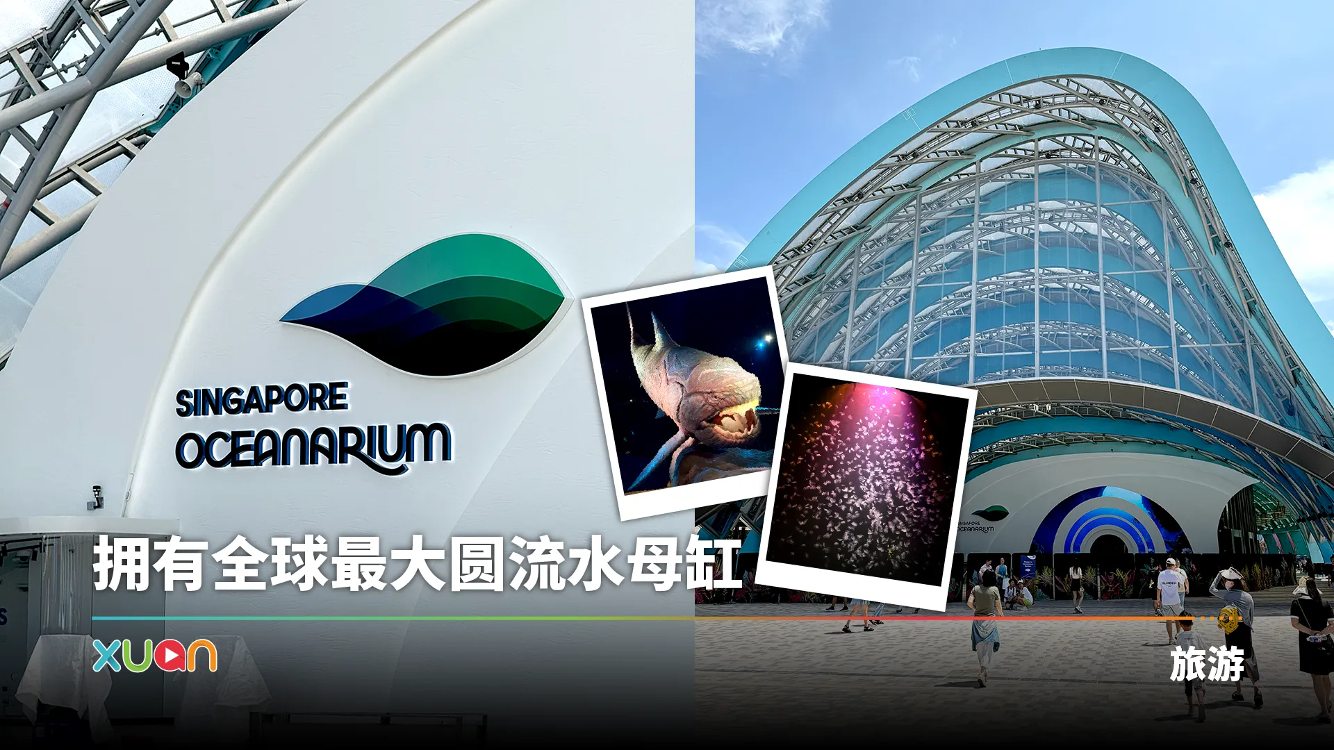 旅游|新加坡海洋生态馆 8大看点!设有22个主题展区 比旧馆大三倍!
