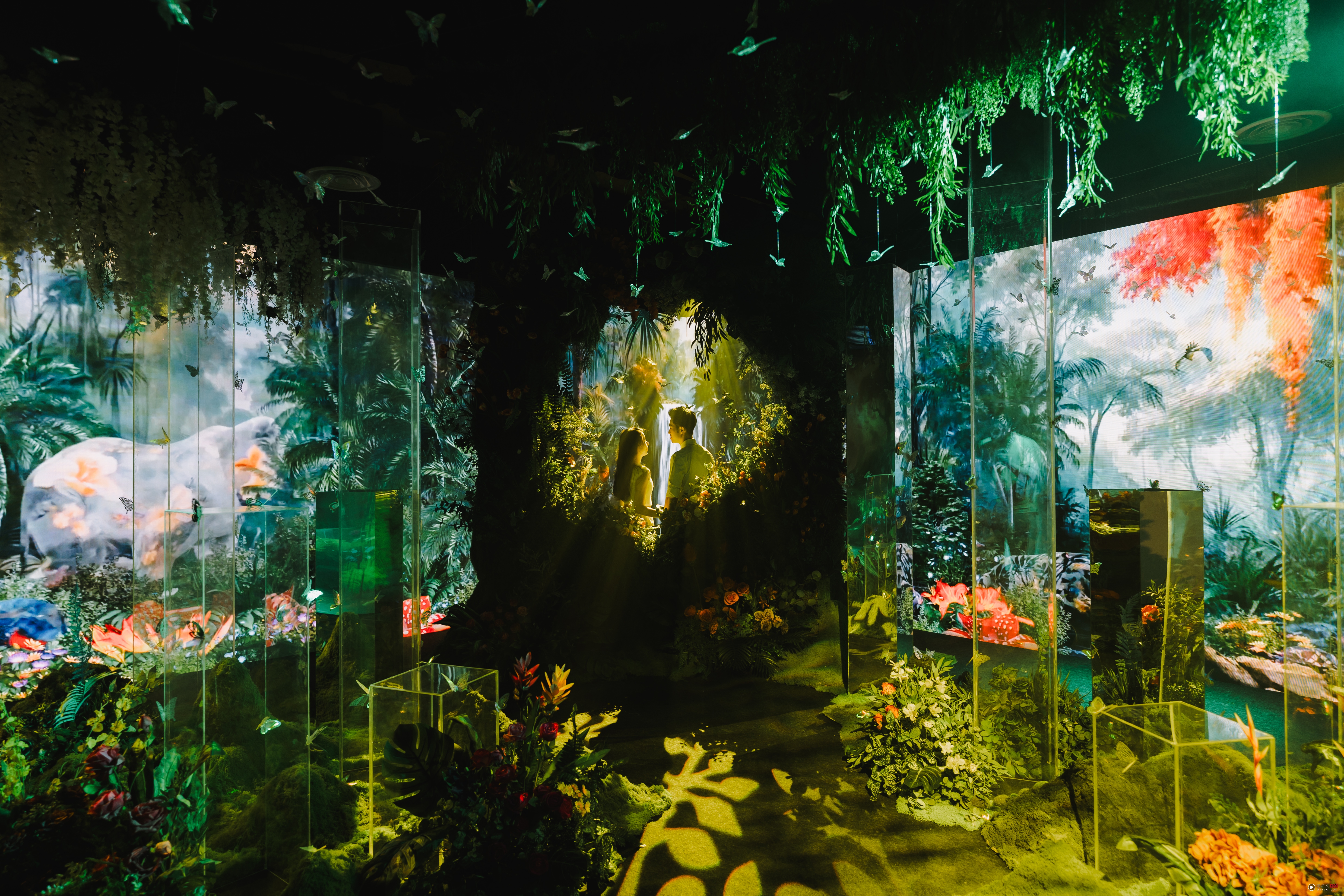 旅游|抢先看!槟城首个沉浸式艺术展 《D Adventurous Project》 内容图2 潮品文-大潮社旗下实时最新热点娱乐时尚数码等新闻资讯网站!