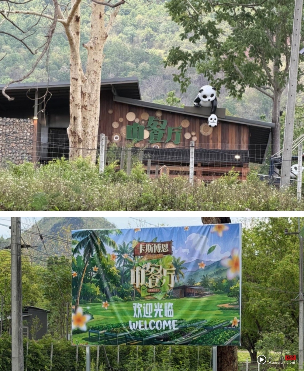 昆凌加盟《中餐厅10》!天王周杰伦爱相随被偶遇了 内容图2 潮品文-大潮社旗下实时最新热点娱乐时尚数码等新闻资讯网站! 中餐厅10