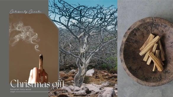 2022名人圈最红圣诞礼!“秘鲁圣木、鼠尾草”10大特点必看,功效与好处一次解惑!