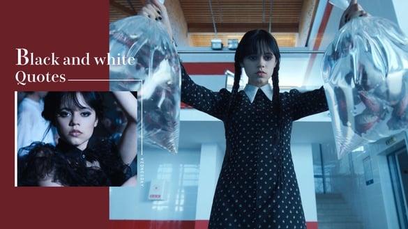 Netflix 美剧《星期三》15句黑白语录：“我不相信天堂或地狱，但我信奉复仇。”