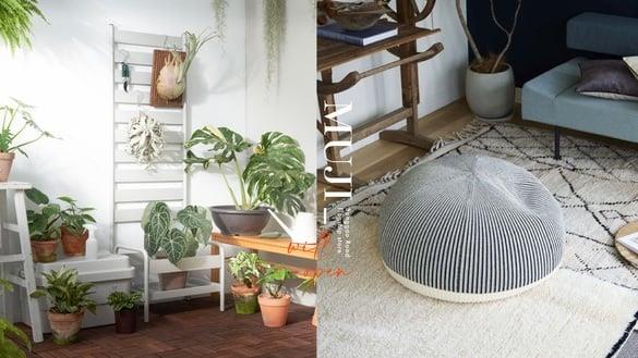 MUJI无印良品“松高旗舰店”将开幕！“必买十样好物”抢先看，门市将开卖大型植栽！