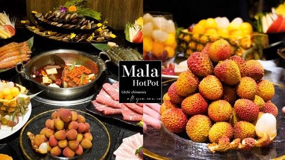 吃到饱“对身分证”享优惠！马辣“爆汁玉荷包”快闪吃到饱，再享大蛤蜊吃到饱优惠