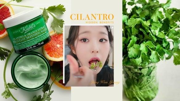 IVE张员瑛竟是“香菜派”！香菜不只能减重、改善金鱼脑，还有这4大“隐藏益处”