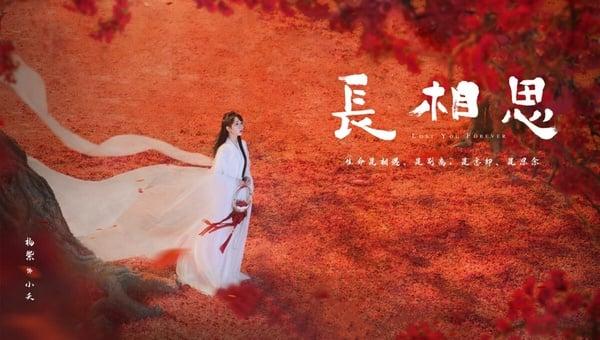 《长相思》剧情、角色介绍+必看亮点！杨紫、张晚意上演虐心四角恋，高还原度书迷必看