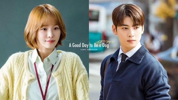 漫改剧《犬系恋人》预告释出！车银优、朴圭瑛、李玹雨高颜值卡司，据传吻戏超多超甜！