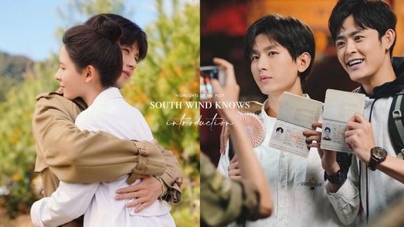 电视剧《南风知我意》剧情5大看点！分集剧情+角色介绍，成毅、张予曦三搭开启甜虐恋模式